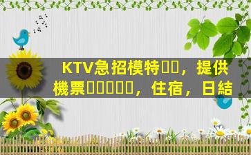 KTV急招模特，提供機票，住宿，日結